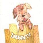 Carnet de însemnări – Zdreanță, format mare